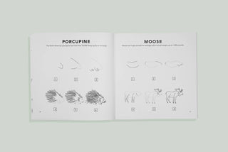 Mushrooms & Woodland Creatures: Kids How to Draw Book