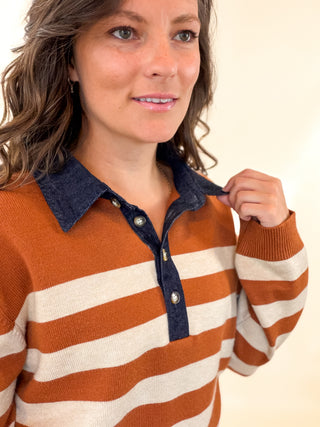 Blue Ridge Striped Polo Sweater