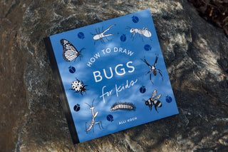 How to Draw Bugs for Kids (Butterflies, Bees, Ladybugs)