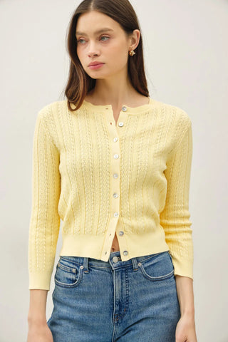 Softlight Pointelle Cardigan