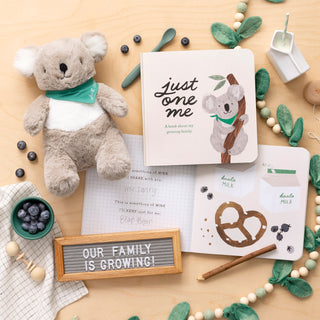 Just One Me- A Big Sibling Gift Set
