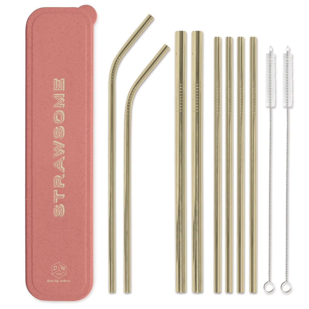 Stainless Steel Straw Set