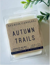 Load image into Gallery viewer, Sturgis Wax Melts 2.75 oz.
